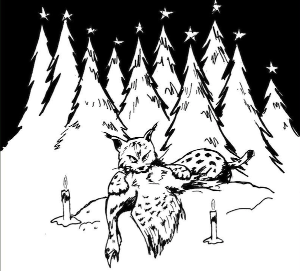 Portraits d’habitant·es n°11 : T’aimes noël ?