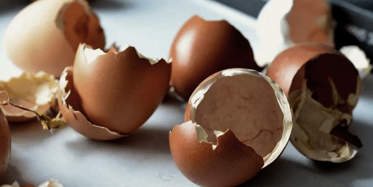 La révolution n’est pas un dîner de gala, comparution immédiate